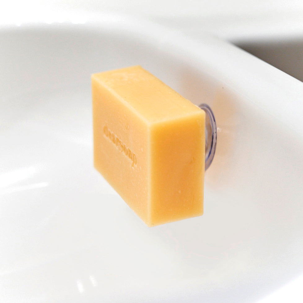 Magnetischer Seifenhalter mit Saugnapf hält Quittenseife